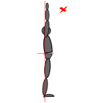 Mobilisation for cycling and endurance sports Double_arm_raise_3